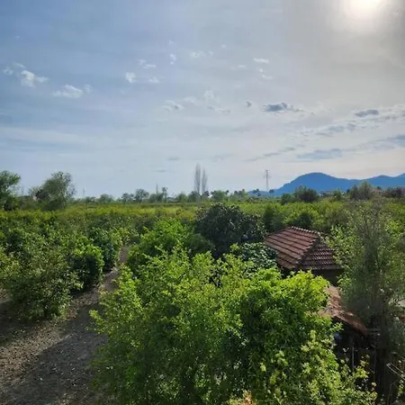 Lejlighed 0100 - Villa, Comfy And Peaceful Ortaca (Mugla)
